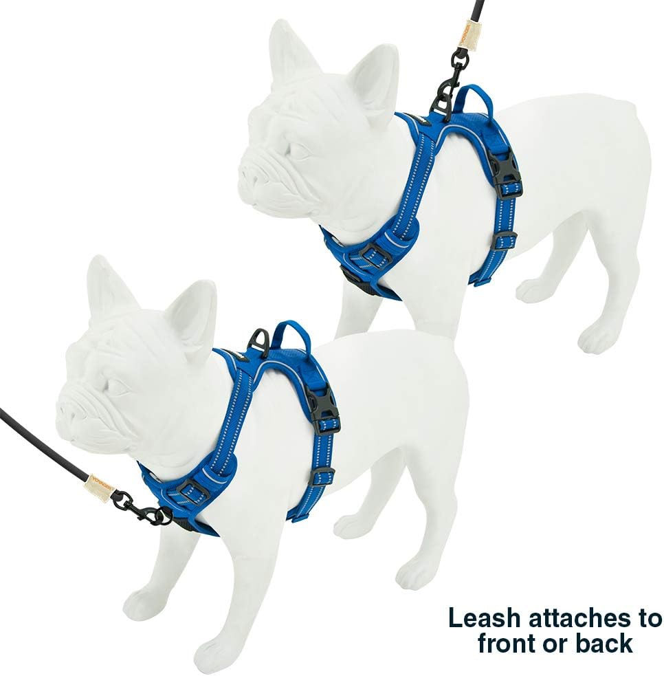 Voyager Dog Harness Dual Leash Attachment No-Pull Control Adjustable Soft but Strong Pet Harness for Medium and Large Dogs with 3M Reflective Technology - Image 5