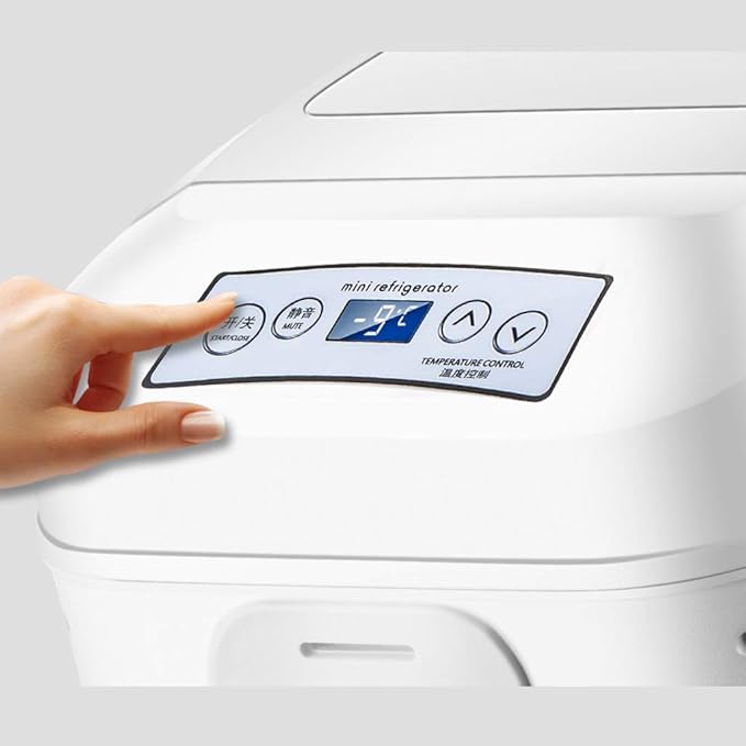 Refrigerador del automóvil que calienta la caja de refrigeración ...