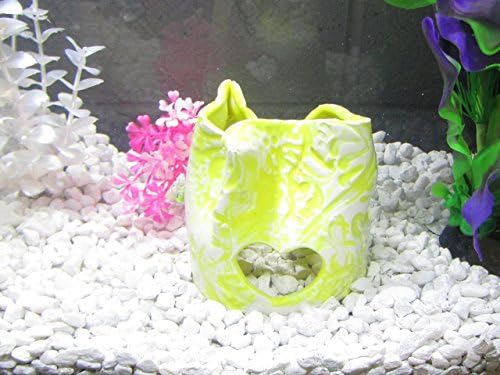 Betta Cave, Aquarium Decor, Tank Decor