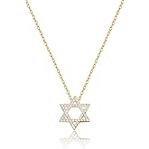 ALRNBY Star of David Necklace for Women Non Tarnish Gold Plated Charm Necklace Gift Dainty Silver Choker Stainless Steel Chain