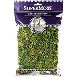 SuperMoss (25320) Forest Moss Preserved, Fresh Green, 2oz