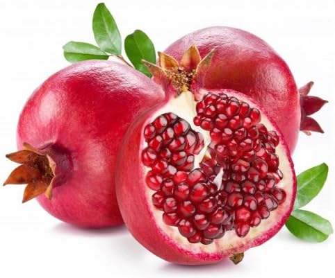 1 oz Candle Soap Home Fragrance Oil-Pomegranate