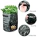 TEEL Potato Grow Bag 2 Pack 10 Gallon Garden Planting Grow Bags with Access Flap and Handles for Potato, Carrot, Onion,Tomato and Flower,Outdoor/Indoor Vegetables Container Bagsthumb 2