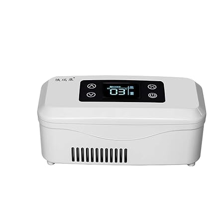 GW Mini Nevera Caja refrigerada de insulina, Caja de insulina ...