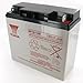 Yuasa NP18-12B 12V/17.2AH SLA Battery with NB Terminal