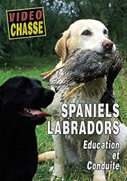 Spaniels, Labradors - Education Et Conduite