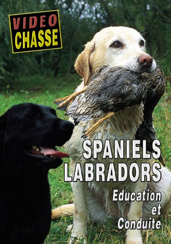 Spaniels, Labradors - Education Et Conduite