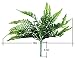 Fake Faux Artificial Boston Ferns Plants Greenery Bushes for Indoor Outside Home Garden Party Decor 4 Bunches 24 Leaves Per Bunch by ZXSWEET