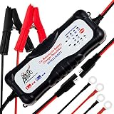 ALPHA MOTO 7 Stage 12v Automatic Motorcycle Car Truck Vehicles ATV Moto Cross Boats Trucks Cars Water Craft Golf carts Lawn Mower Smart Battery Charger Maintainer