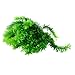 Saim Large Aquarium Plants Plastic 12 Inch Artificial Green Seaweed Water Plants Fish Tank Plants Decorations