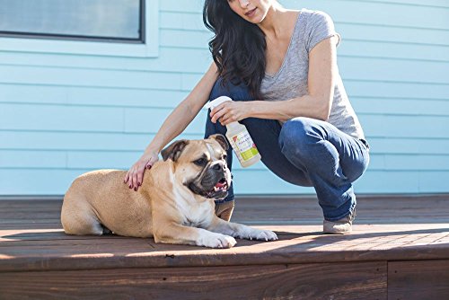 Wondercide Home Flea and Tick Control Spray - Lemongrass - 128 oz Flea Killer for Home