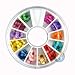 Nail Art Accessories Real Dry Dried Flowers 12 Colors Bundle Set in Wheel - Ready to Use by Winstonia