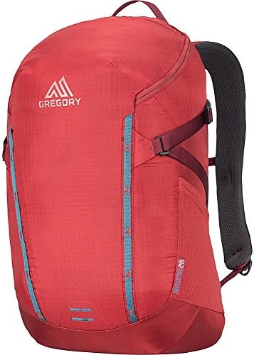 gregory laptop sleeve