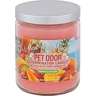 Pet Odor Exterminator Candle, Maui Wowie Mango,13 oz