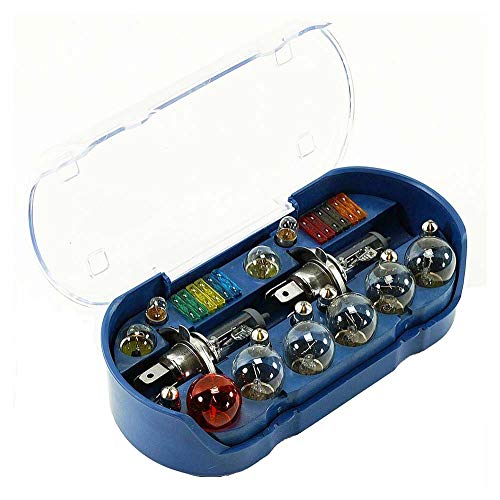 Bulb Kit 30pc Universal (Assorted Bulbs With Fuses) H4 12v 60/55w
