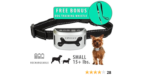 best shock collar for little dogs