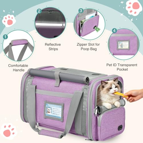 BTNEEU Foldable Cat Carrier Carrier Small Dog Carrier Airline Approved Breathable Carrier Bag with Inner Strap, Washable Soft Cushion and Adjustable Shoulder Strap (Purple)