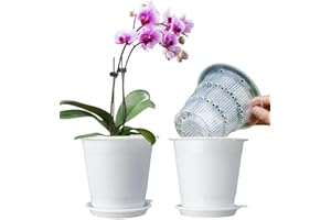 Meshpot 4 inch Clear Orchid Pots with Holes Match White Plastic Orchid Planter,Set of 2,Double Layer Plant Nursery Pots Own Scientific Controlling Roots Technology