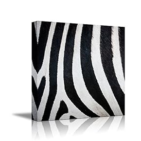 Canvas Prints Wall Art - Canvas Prints Wall Art - Zebra Fur/Skin Texture - 12"x12"