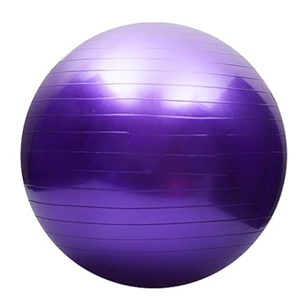 FAMILIZO 65 cm Ejercicio Fitness Gimnasio Bolas Suave ...