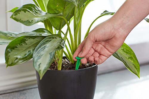 5 Miracle+Gro+Indoor+Plant+Food+48+Spikes