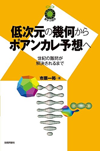 低次元の幾何からポアンカレ予想へ 世紀の難問が解決されるまで 数学への招待 市原 一裕 Branderadi