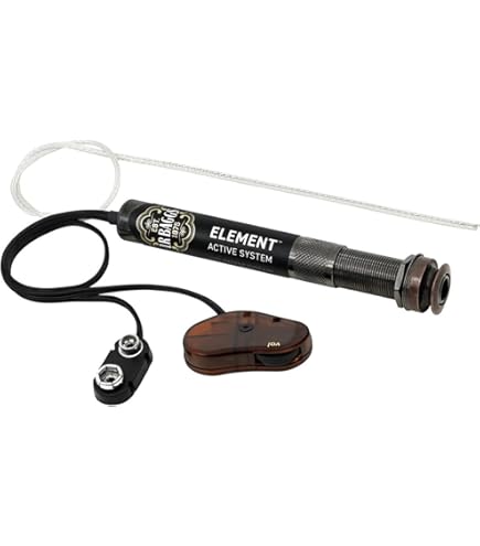 ギター L.R. Baggs Element Active System L.R Baggs Element Active System With Volume & Tone | Long & McQuade