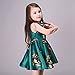 Kidscool Little Girls Sleeveless Yellow Rose Print Green Princess Dress