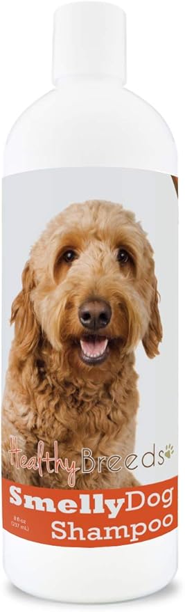 goldendoodle shampoo