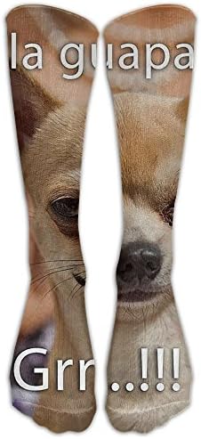 Funny Dogs Hola Guapa Vintage Style Winter Thick Warm Performance Comfort Cute Colorful Funny Casual Cotton Crew Socks
