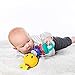 Baby Einstein Carry Along Caterpillar Toy