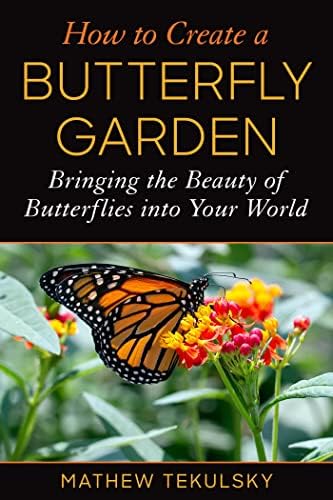Music of the Butterfly: A Story of Hope: Ann M. Leis, Gail