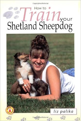 How to Train Your Shetland Sheepdog (How To...(T.F.H. Publications)) �n�[�h�J�o�[  - 2000/1/1