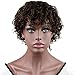 Dreambeauty Human Hair Wigs for Black Women Short Fashion Curly Wigs African Amercian Wigs