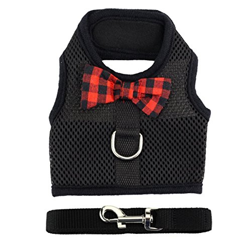 1 Harness+Stylish+Adjustable+Breathable+Walking