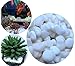 Wayber Decorative Stones, 1 Lb/455g White Stones Rock Crystal Sands for Bonsai Succulent Plants Ornament/Bottom Decoration/Aquarium Turtle Tank Landscape (Fills 1&1/4 Cups)