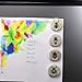 Buttonsmith Beetles Magnet Set - Set of 4 1.25