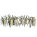 MANLOUFUSHI 100pcs Alloy Charms Mixed Mini Feather Charms Pendants 31x6mm Jewellery Charms Making Supplies for Necklace Bracelet DIY Steampunk