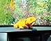 XGATML Batty Bargains Ravishing Bobblehead Lizard with Car Dashboard Adhesive (Orange)