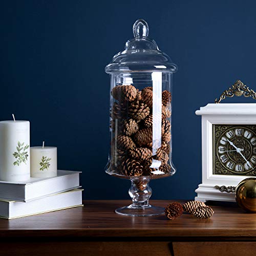 Diamond Star Apothecary Glass Candy Jar with Lids, Candy Buffet Display