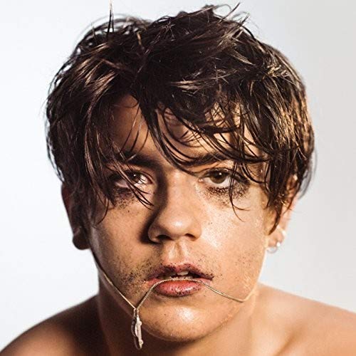 Album art for What Do You Think About The Car? by Declan McKenna