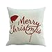 DOYOLLA Merry Christmas Series Throw Pillow Case Decorative Cushion Cover Pillowcase Square 18