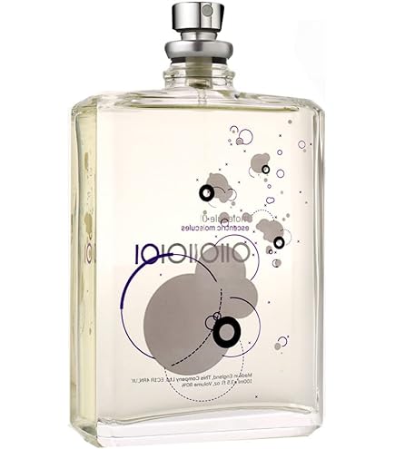 Amazon.com : Tom Ford BEAU DE JOUR EAU DE PARFUM SPRAY FOR MEN 3.4