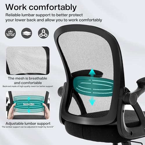 Fizzin Ergonomic Office Chair, Home Desk Chair, Adjustable Lumbar Support and Padded Seat, Breathable Mesh Computer Chair with Reversible Padded Armrests, Home Office Chair (Black)