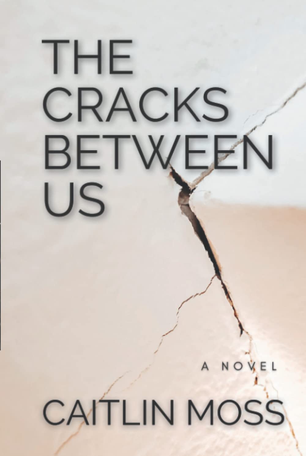 The Cracks Between Us book