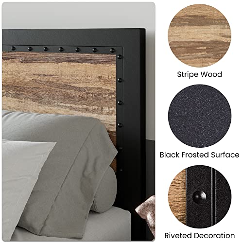 SHA CERLIN Heavy Duty Metal Bed Frame Queen Size, Platform Bed Frame