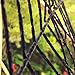 OTBBA Halloween Decorations, Giant Spider Decorations 12FT Spider Web Decorations Creepy Decor Halloween Outdoor Indoor