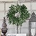 Pauwer 2 Pack Artificial Willow Leaves Vine Silk Fake Hanging Greenery Garland Willow Twigs Plant Foliage for Wedding Party Wreath Wall Indoor Outdoor Decor(A)