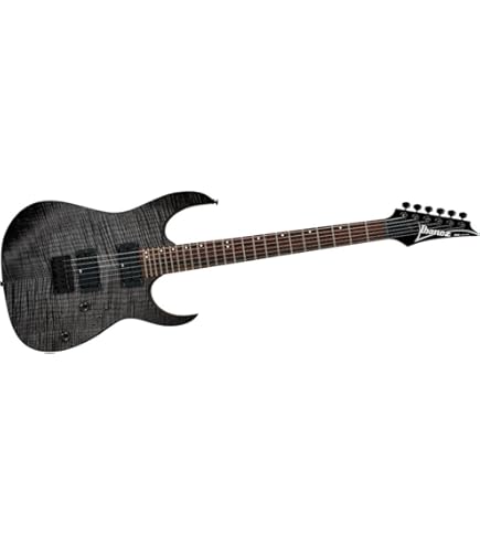 ギター Ibanez Iron Label XPTB620-BKF Ibanez IRON LABEL XPTB620-BKF (Black Flat) アイバニーズ