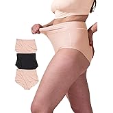 Bodily The All-In Panty, Maternity, Postpartum & C-Section Underwear, High Waisted, Soft, Stretchy for Pregnancy - 3pk